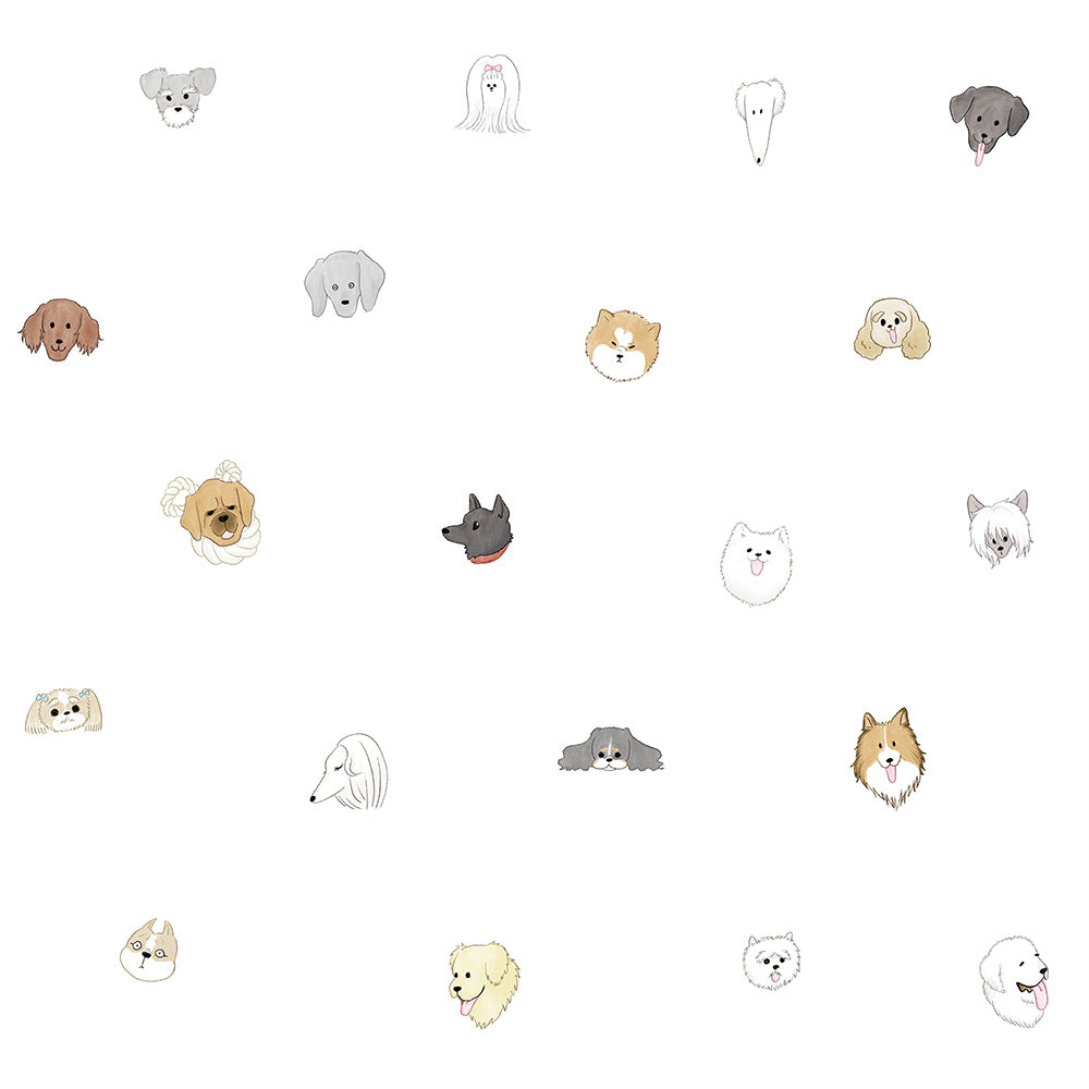 Faceful Friends カラー